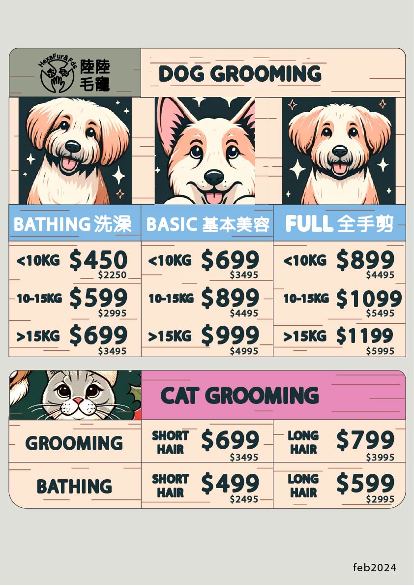 Cat Grooming & Styling